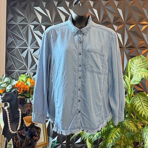 Denim Button Down Shirt - Picture 1 of 4